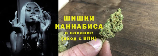 прущий лед Гусев