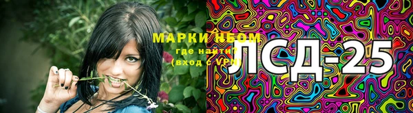 прущий лед Гусев