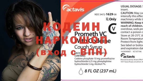 прущий лед Гусев