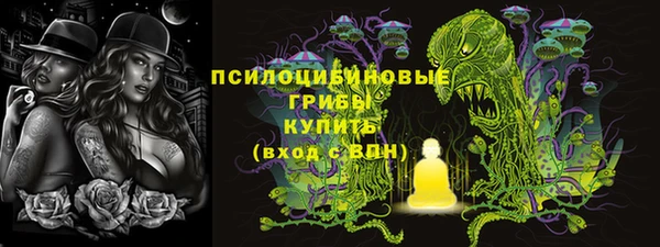 ПСИЛОЦИБИНОВЫЕ ГРИБЫ Гусиноозёрск