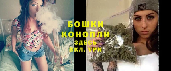 ПСИЛОЦИБИНОВЫЕ ГРИБЫ Гусиноозёрск