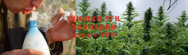 ПСИЛОЦИБИНОВЫЕ ГРИБЫ Гусиноозёрск