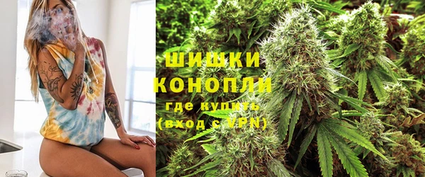 прущий лед Гусев