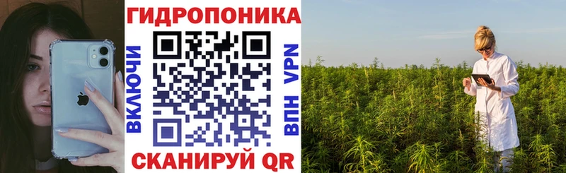 где купить наркоту  KRAKEN как войти  Шишки марихуана LSD WEED  Трёхгорный 